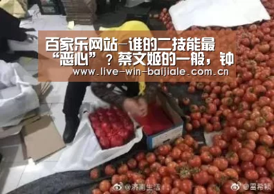 网上百家乐